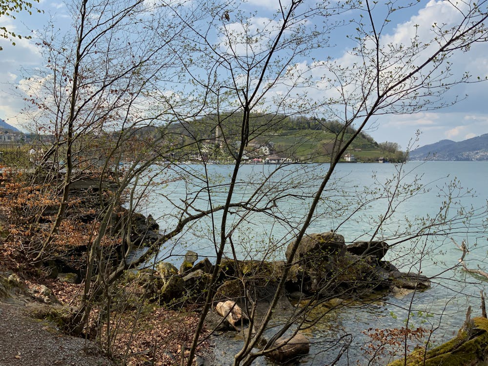 电影海报